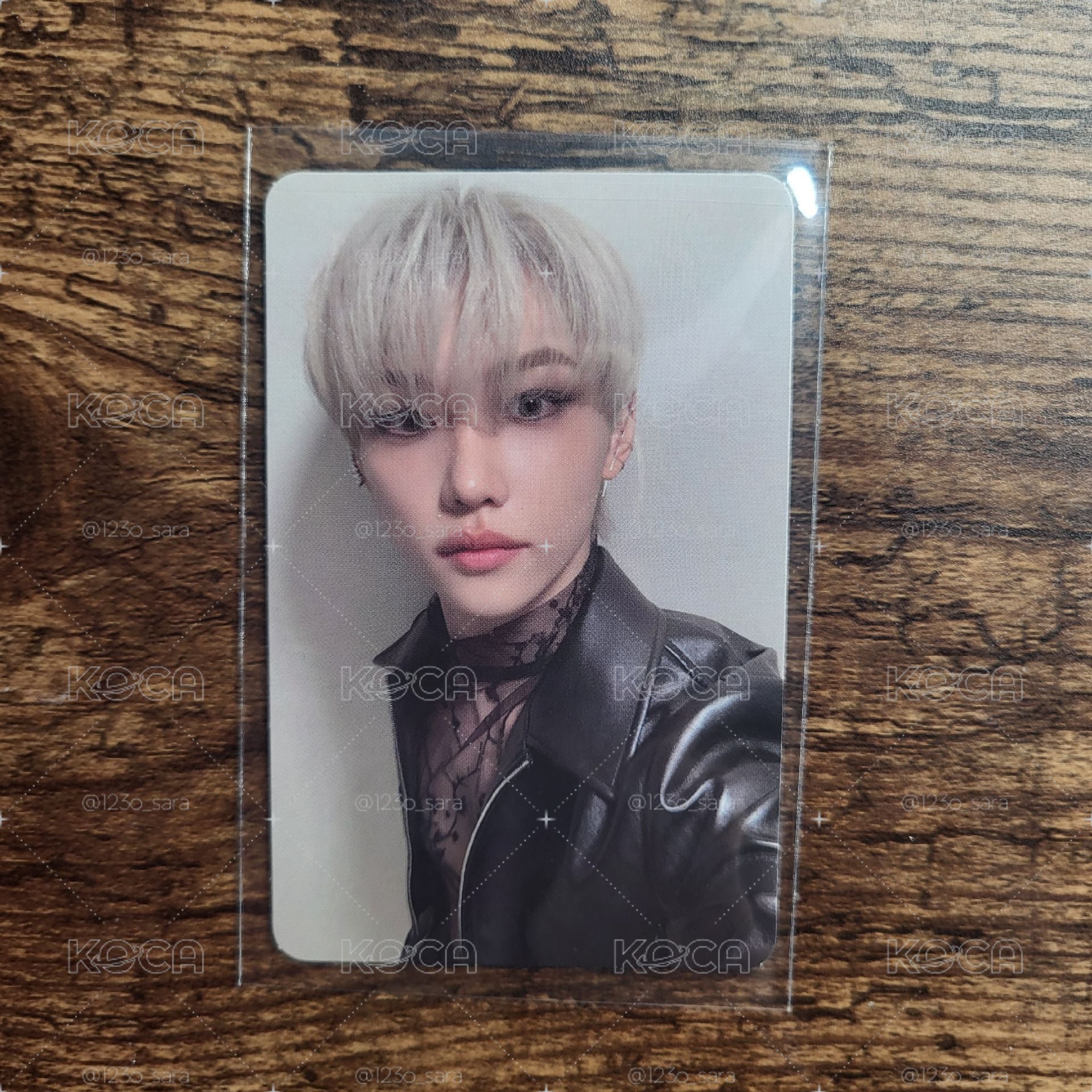 🩵Felix菲小卡