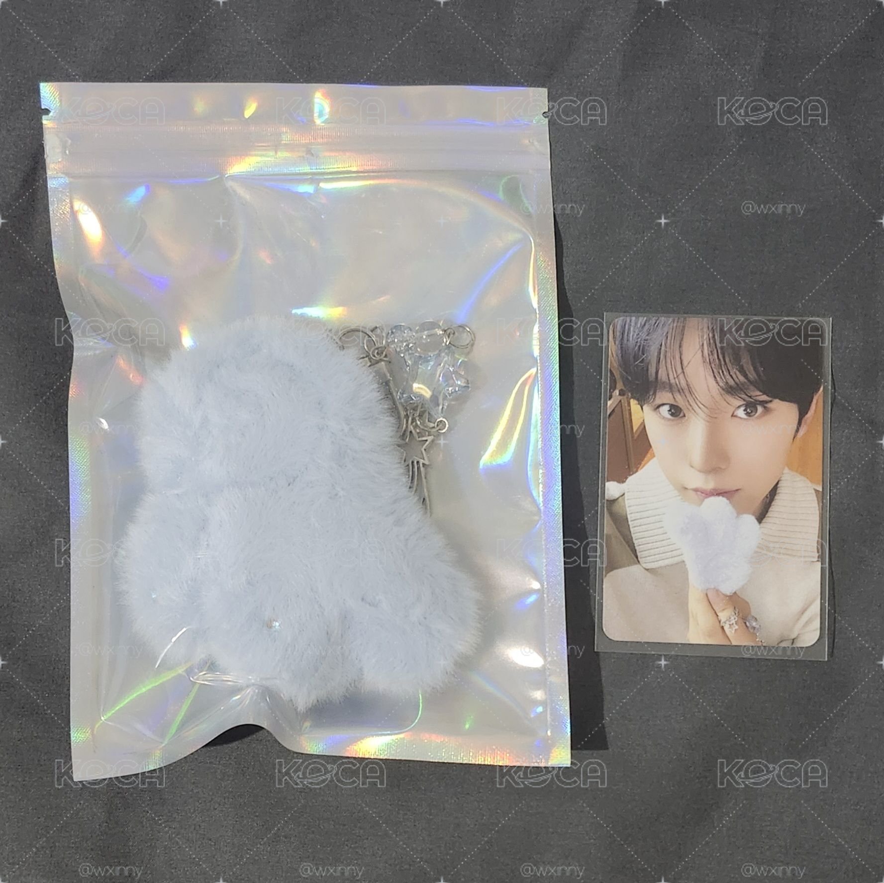 漂亮翅膀+雨衣wichu