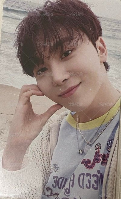 MINI12 專輯卡 wvs電子專