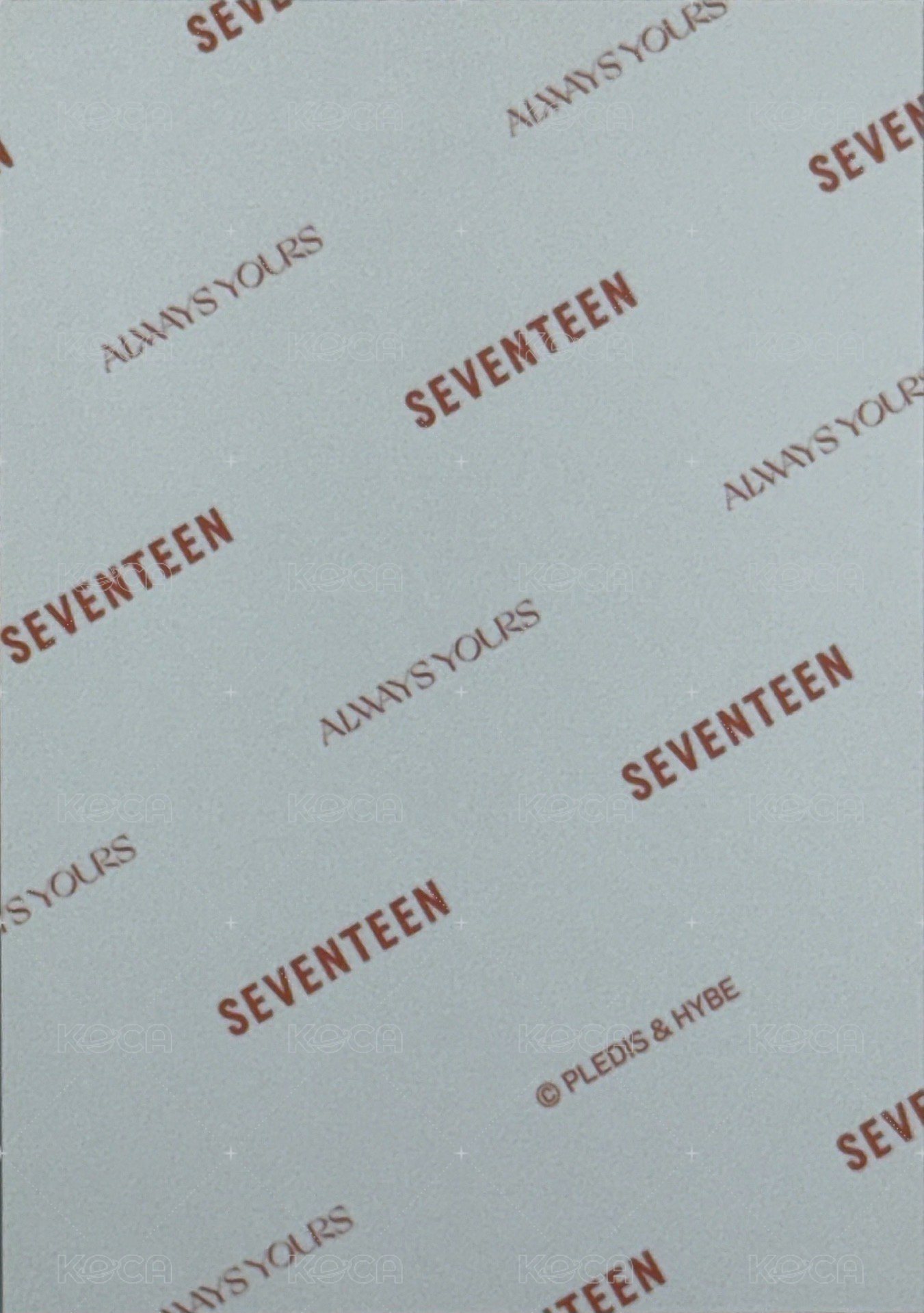 always yours 生寫真  背面