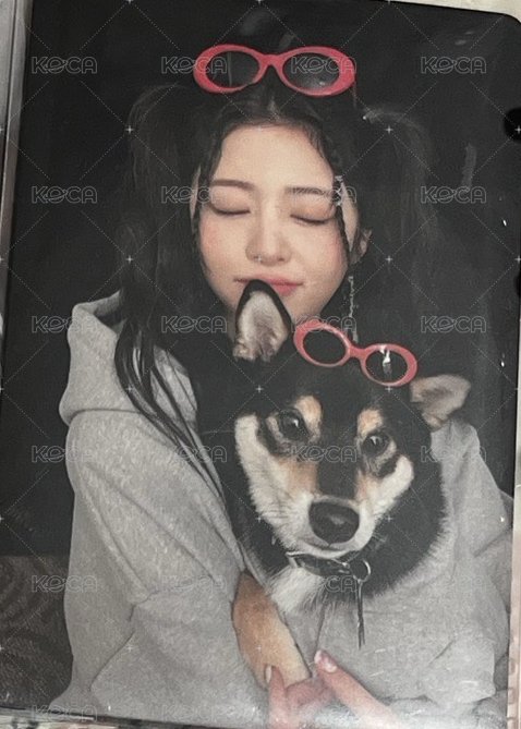 柴犬允