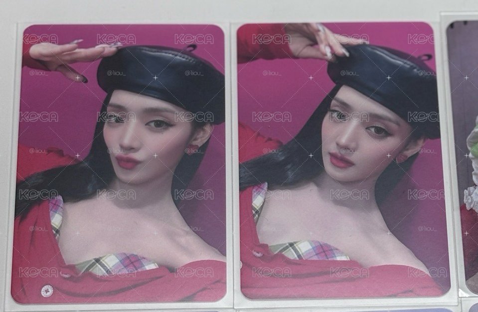ms4冬日玫瑰 妮