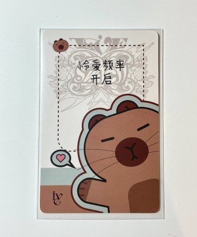 「怜愛頻率開啟」💕