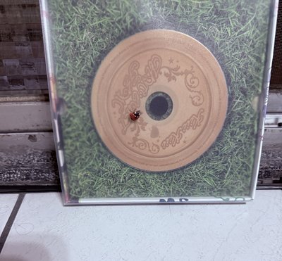 kiiikiii草地專 已拆專輯