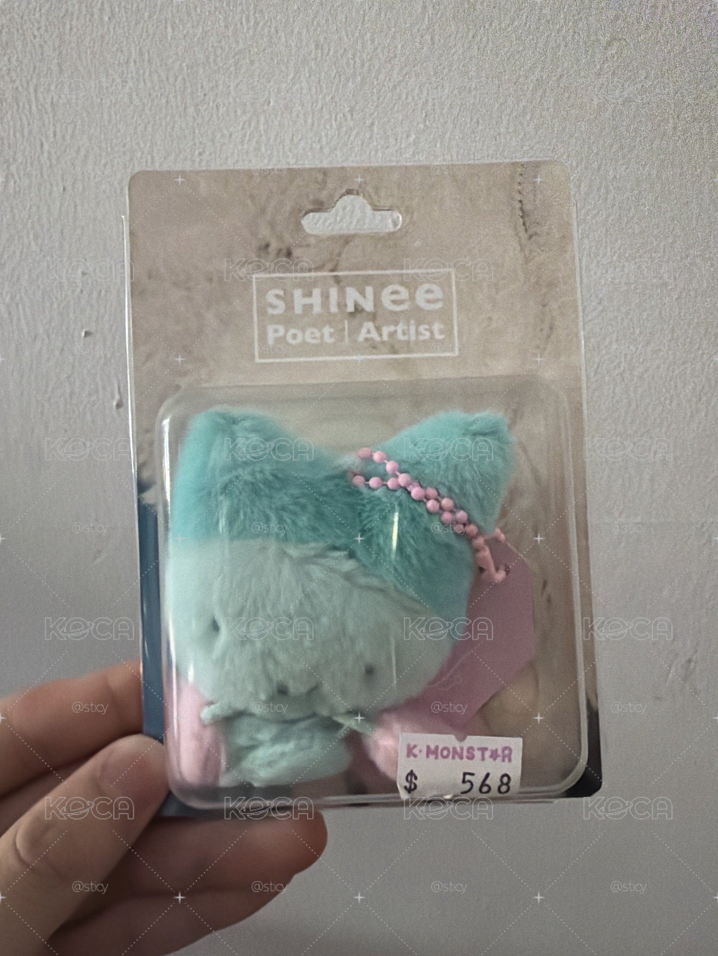 SHINee娃