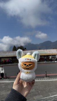 春春的姊姊