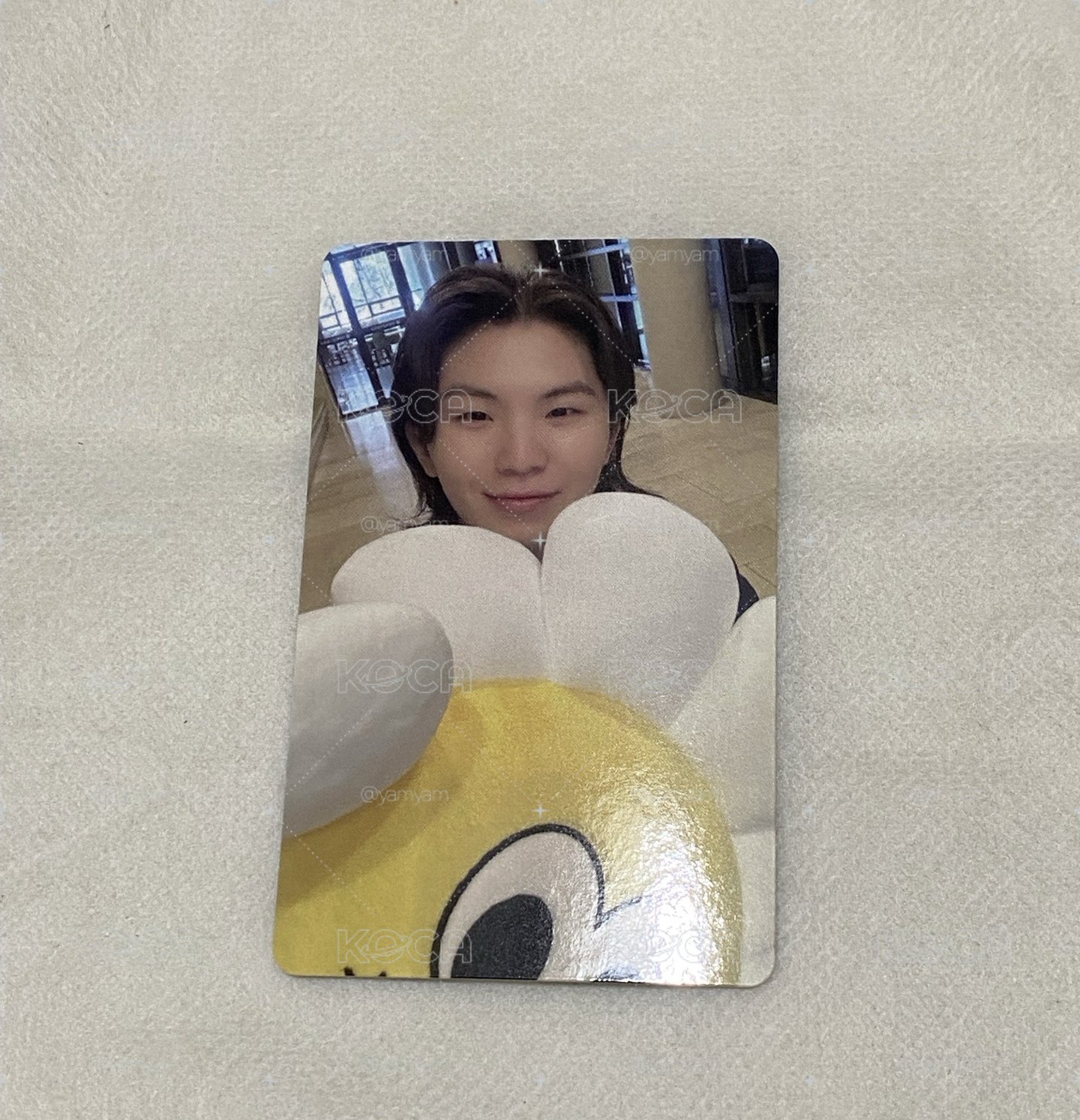 woozi 太陽花 