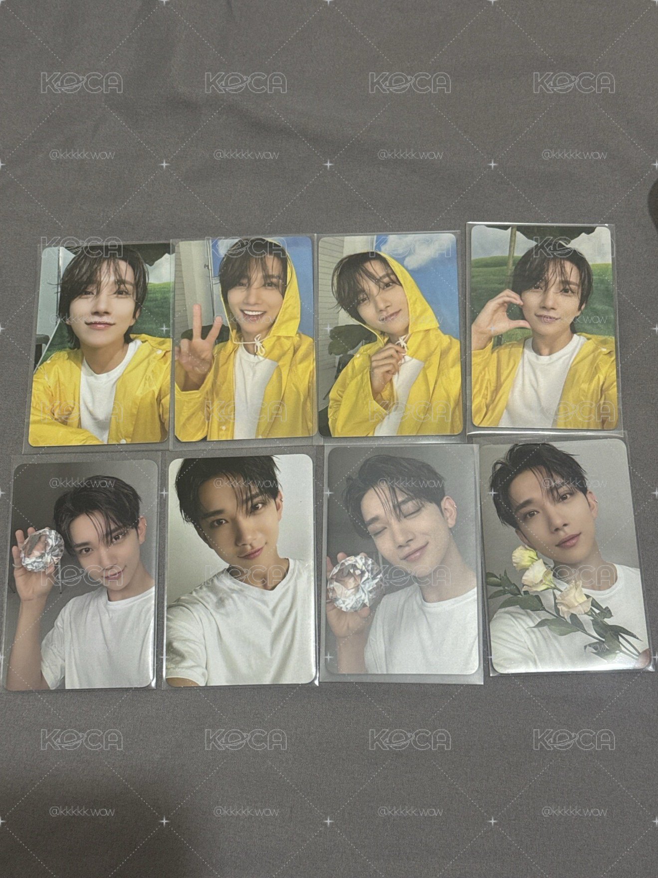 MINI11 精選專 專輯卡 CARAT ver. 洪知秀