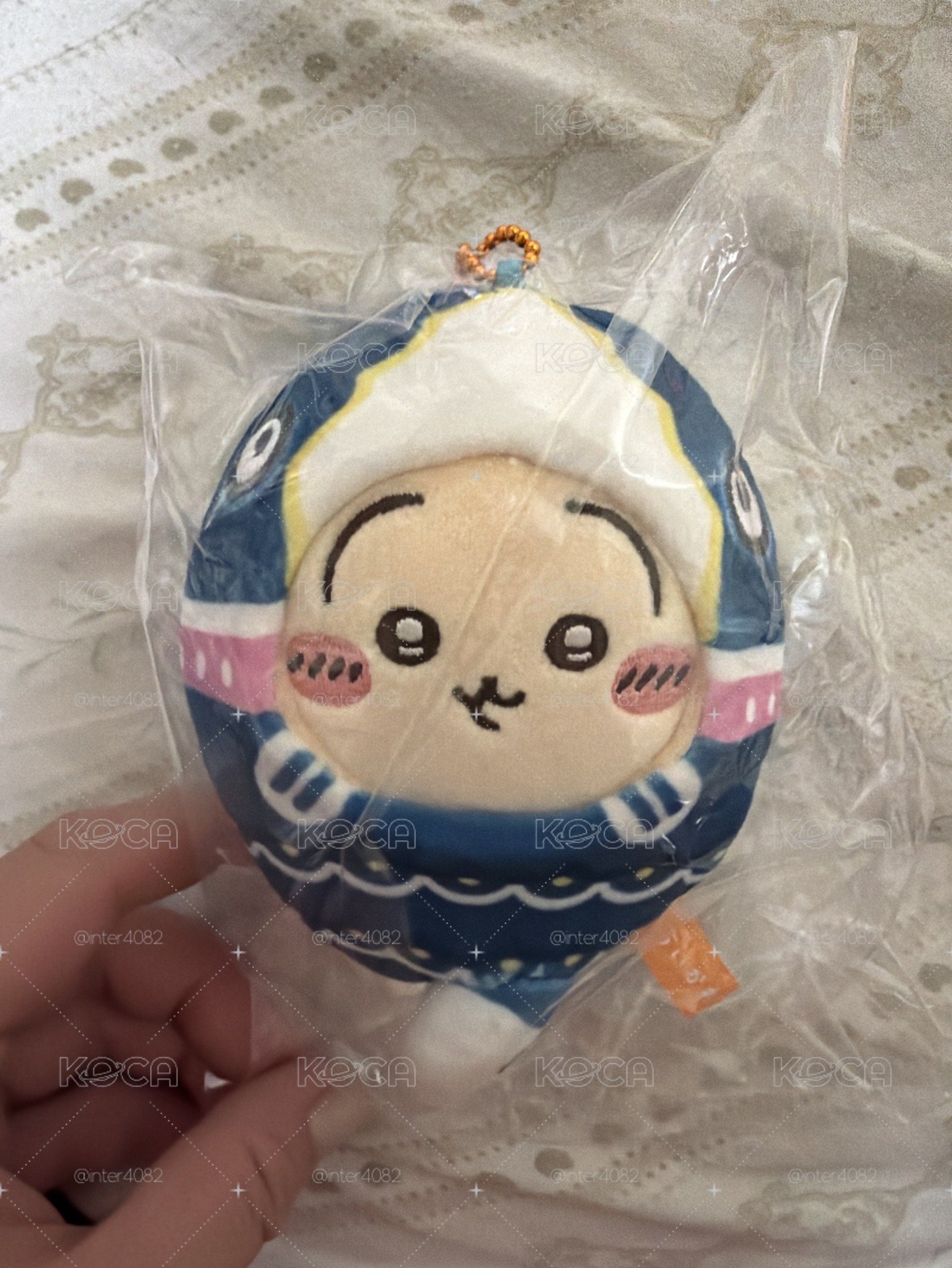 鯉魚兔