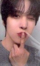 MIGHTEEZ 周邊卡 Wonder Room 毛絨卡套 