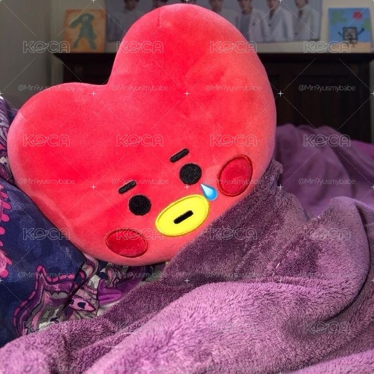 BT21 baby TATA❤️塔塔