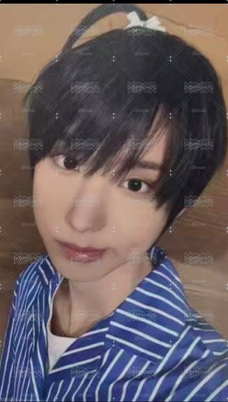 汪汪蘋果頭