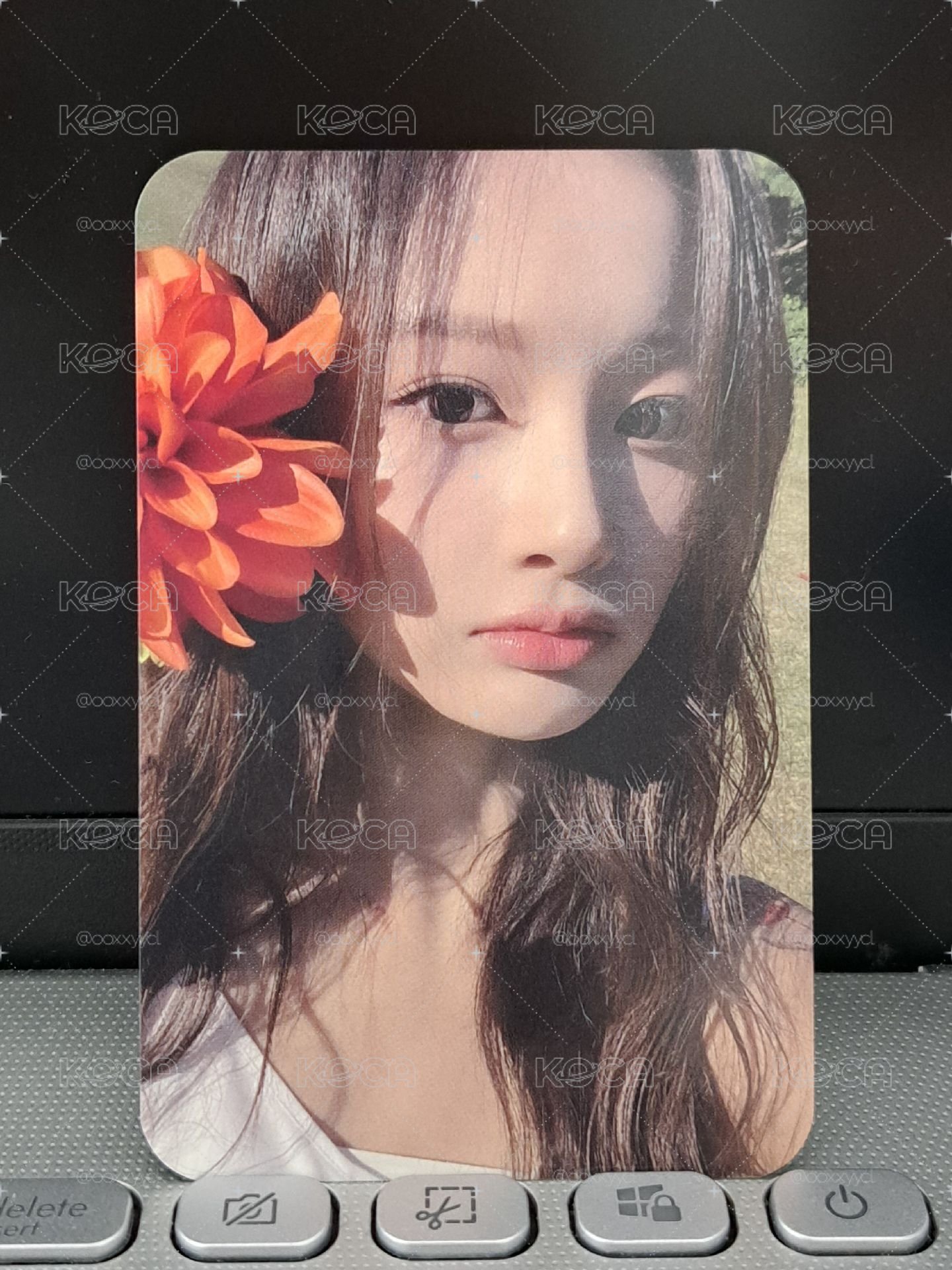 sw 預售拿花薛