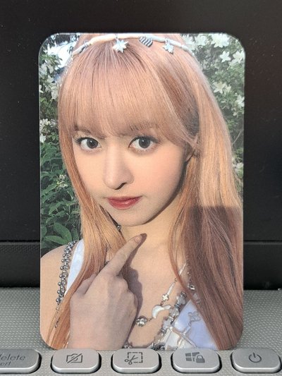 仲夏夜 sw 預售莉