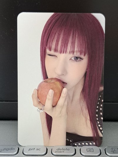 正規一 普版專卡裴 卡背萌萌