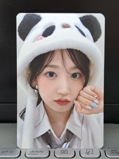 ms 熊貓嫄 中文卡背