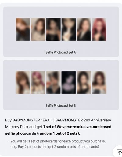 《wvs特典》二週年回憶錄