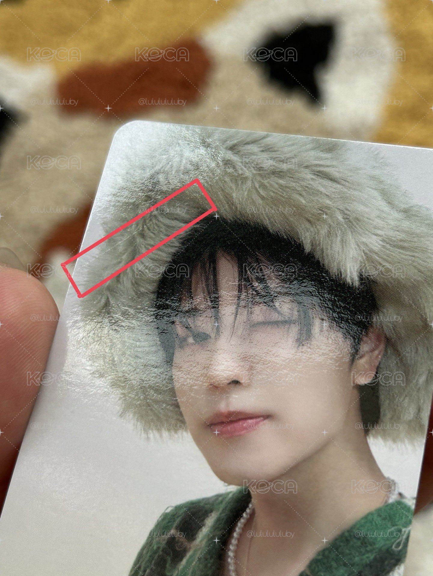 ✨skz 小盤✨