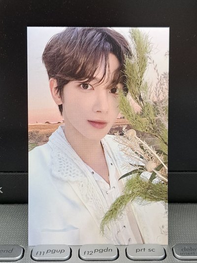 24’巡迴 zone卡顯 對光瑕