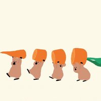 一個蘿蔔一個坑🥕