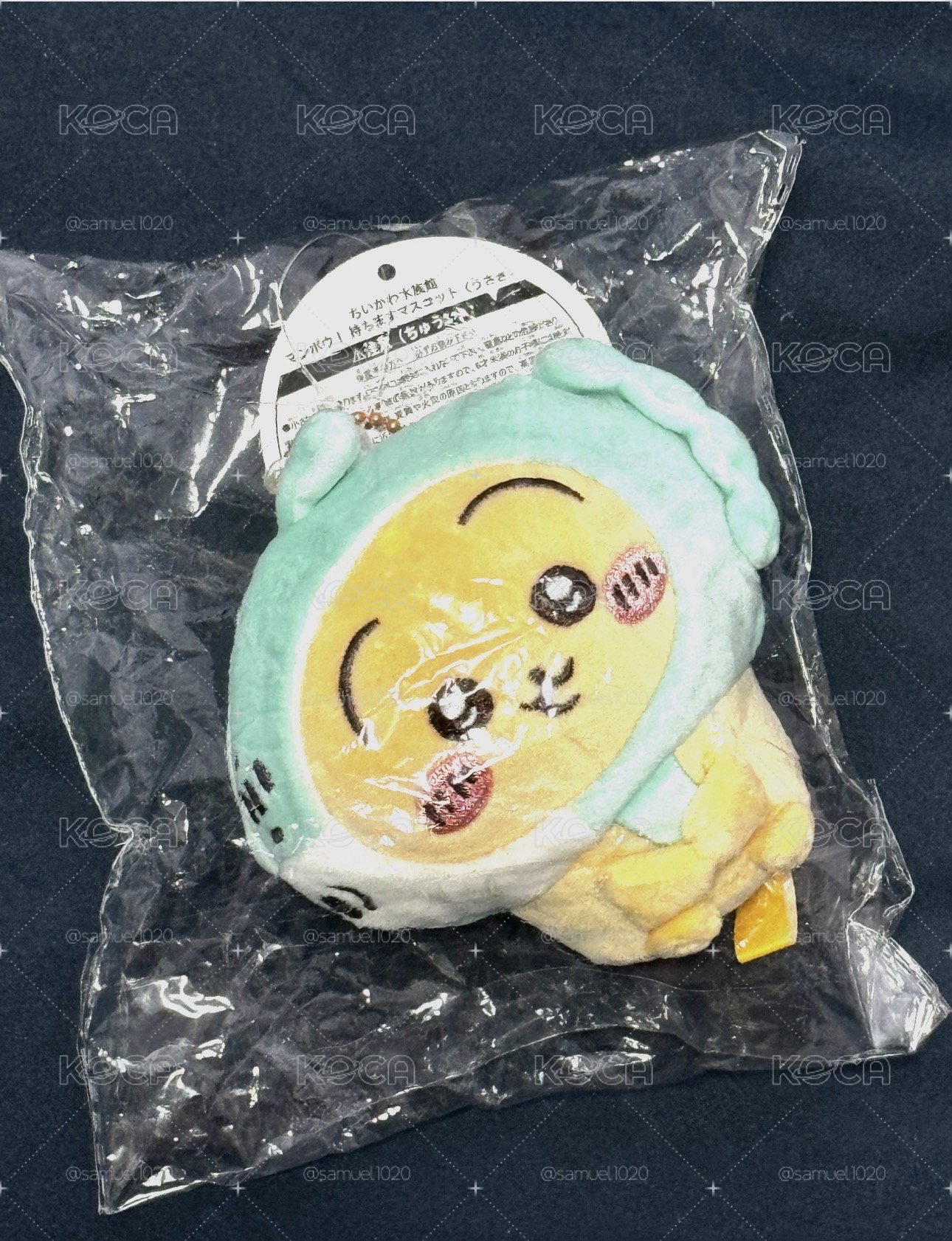 翻車魚兔兔