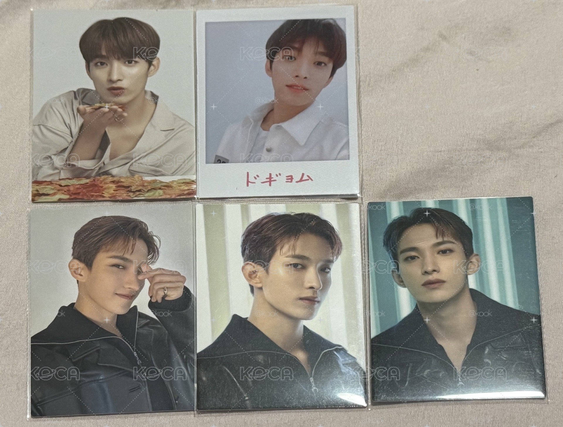 SVT 一些碩日卡