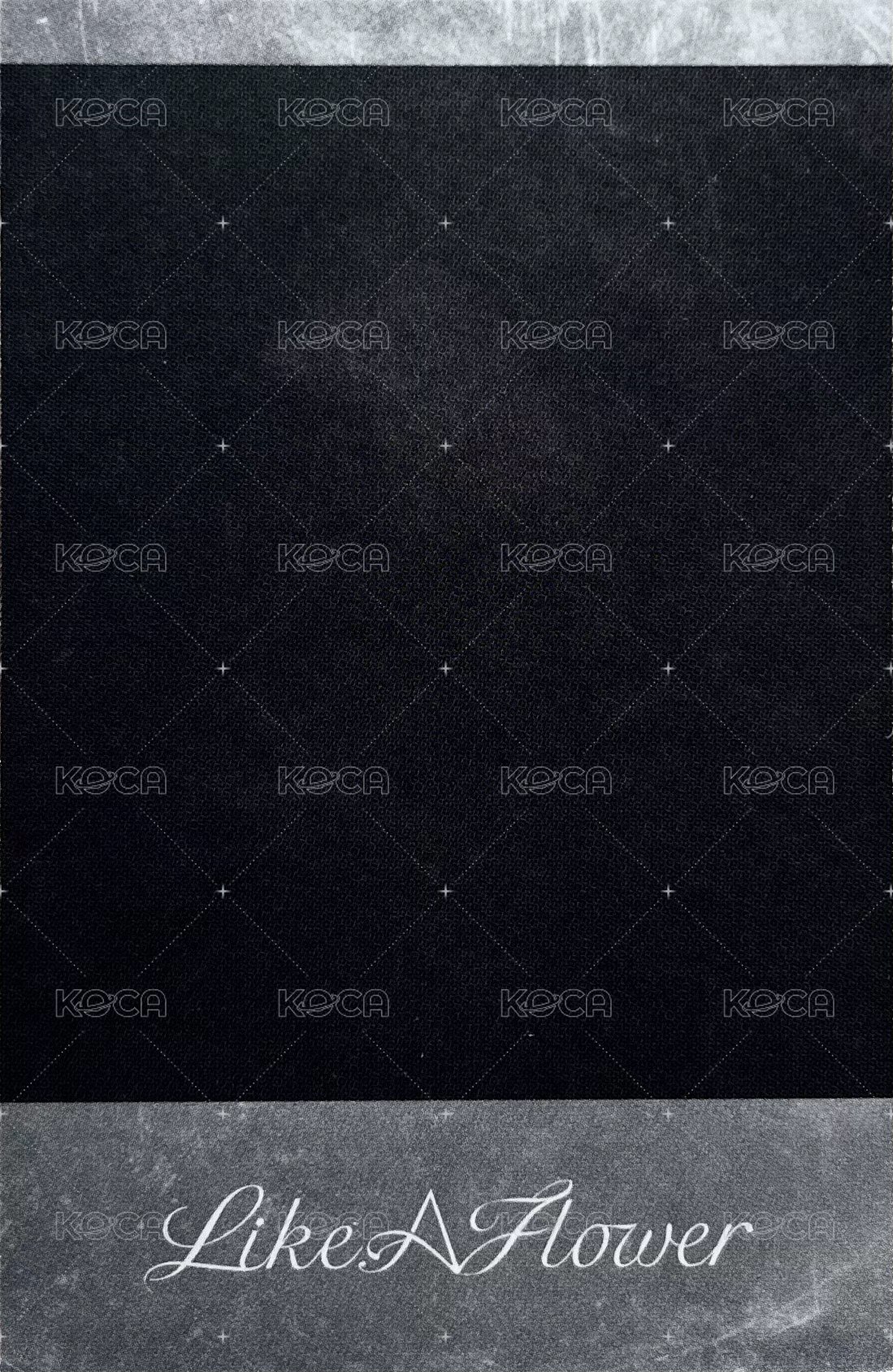 Like A Flower 專輯卡 拍立得 Mirror ver. 背面