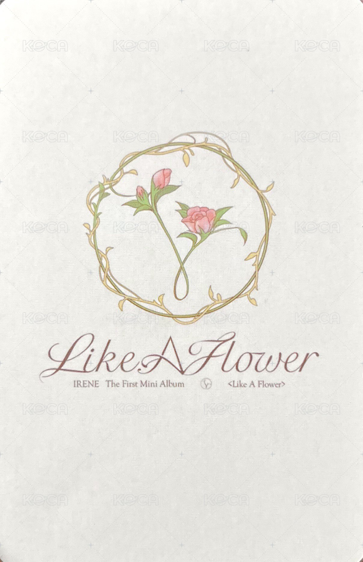 Like A Flower 泡泡摩奇 特典卡 C 背面