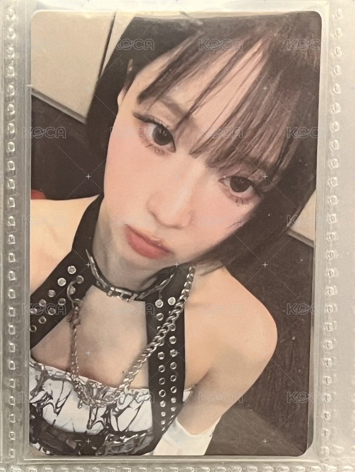 展會冬