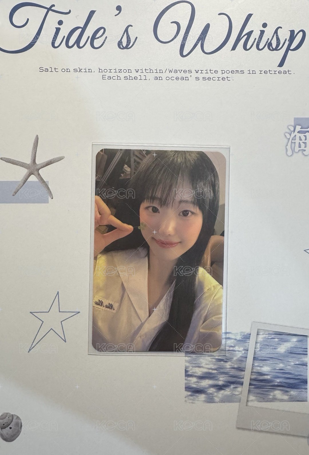 四葉草娜