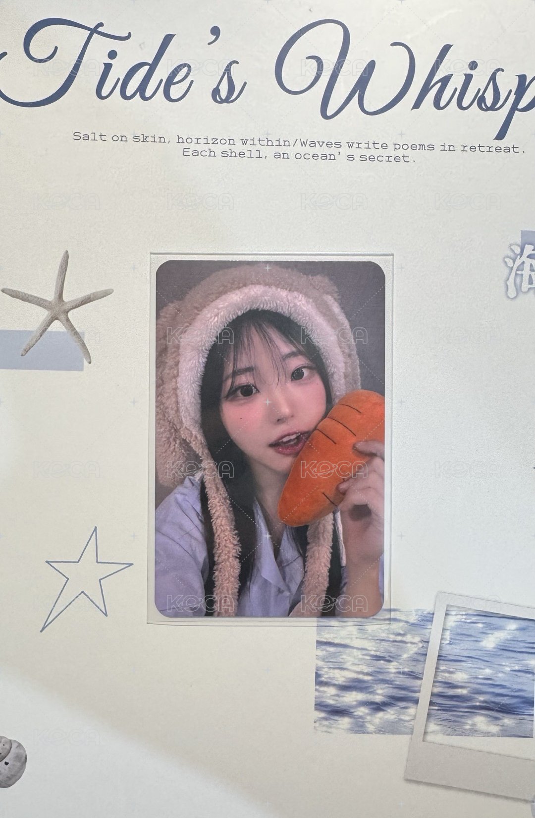 紅蘿蔔中簽娜