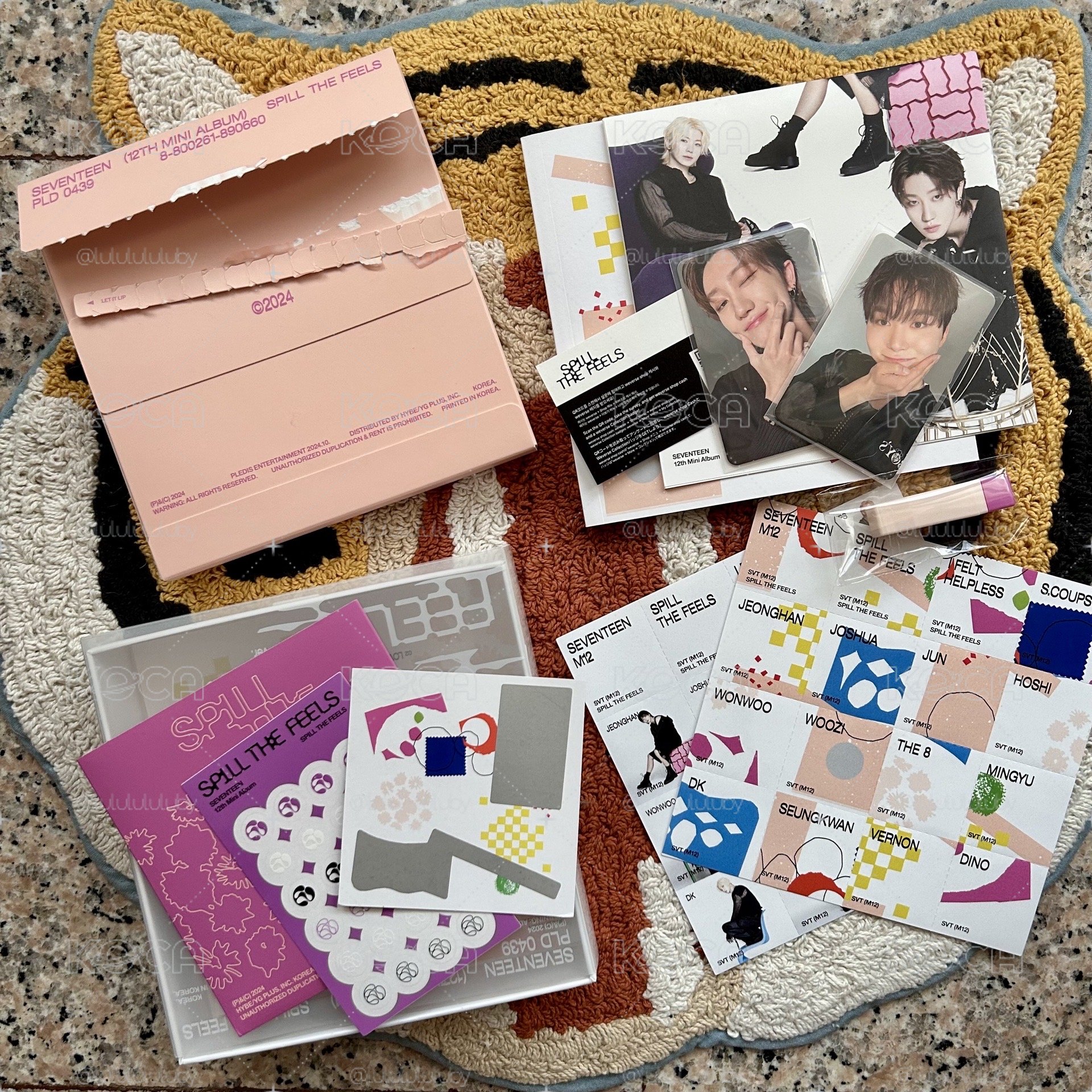 🟢SEVENTEEN 迷12 NEW版