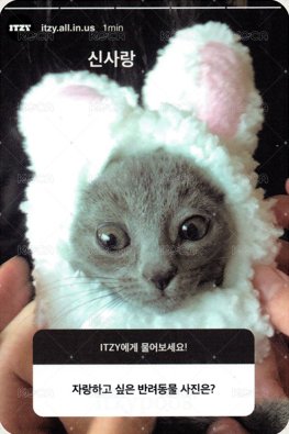 KILL MY DOUBT 限量版 專輯卡  背面