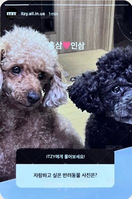 KILL MY DOUBT 限量版 專輯卡  背面