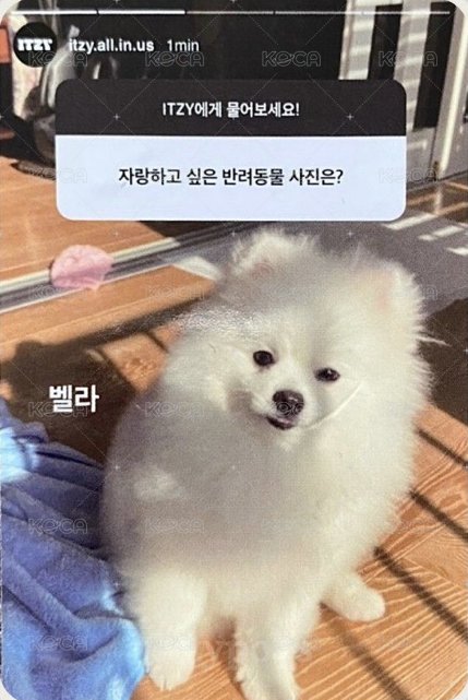 KILL MY DOUBT 限量版 專輯卡  背面