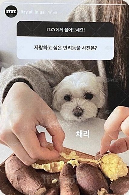 KILL MY DOUBT 限量版 專輯卡  背面