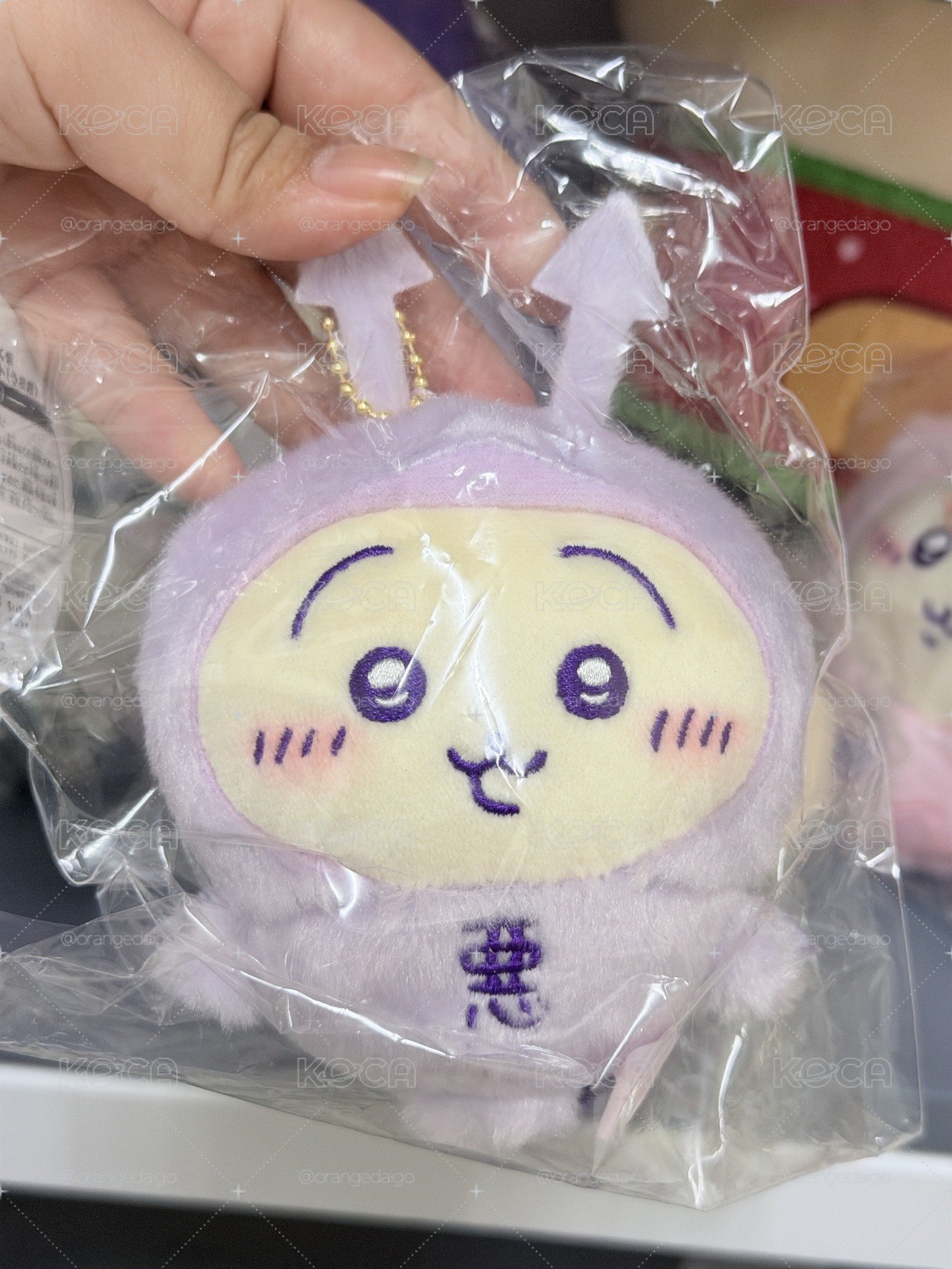 惡兔