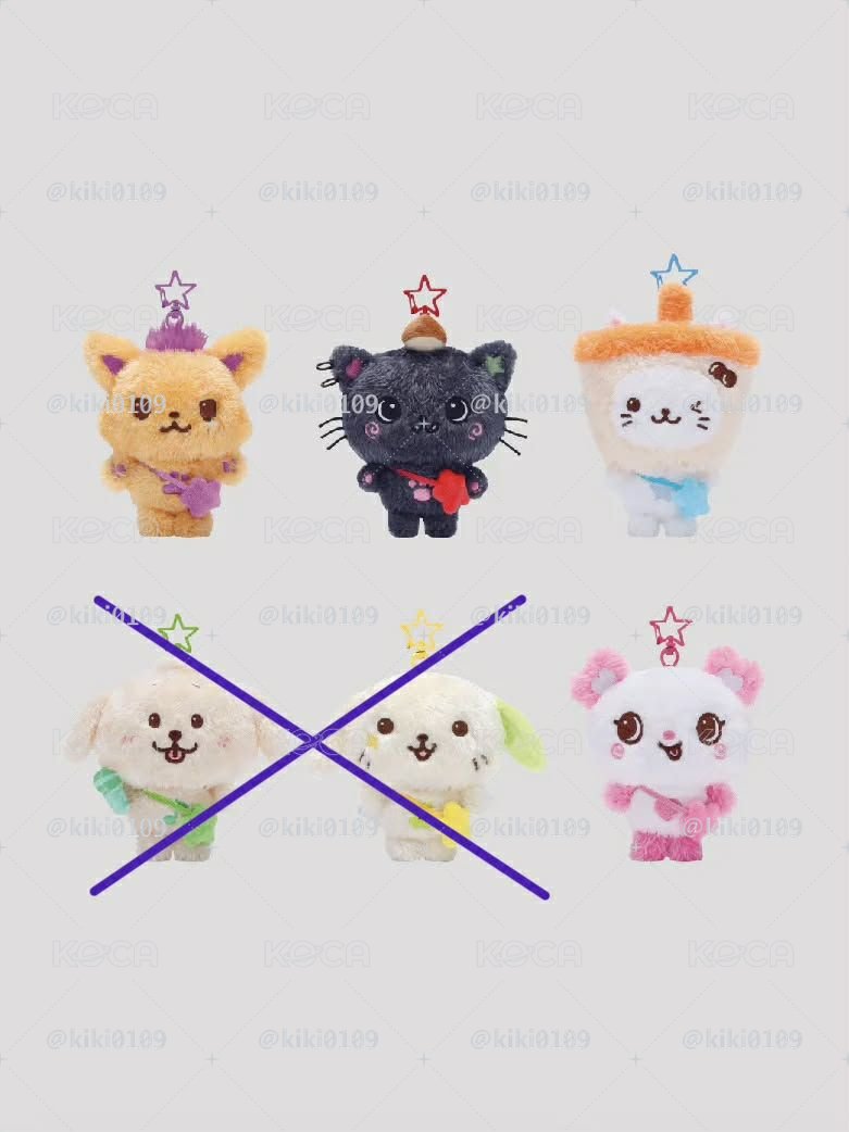 Wish Steady快閃娃 wishdoll