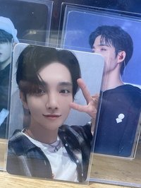 ⭐️正4語音🦌