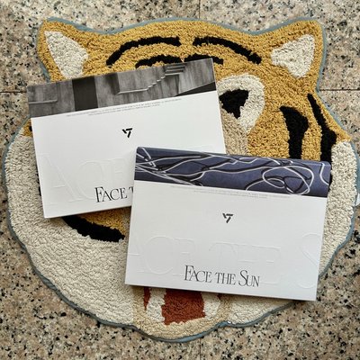 SEVENTEEN 正四 已拆全專