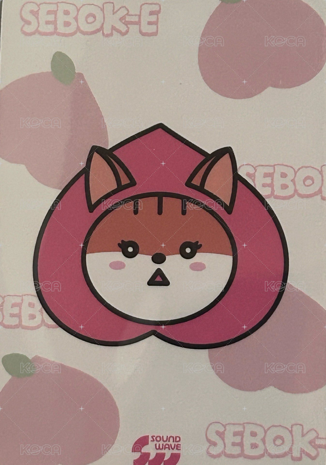 勢銀 生咖 娃卡 周邊卡  背面