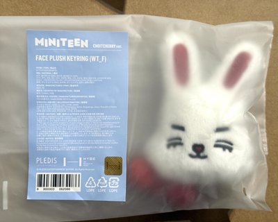 MINITEEN 大頭吊飾 🍒哲 免綁直出