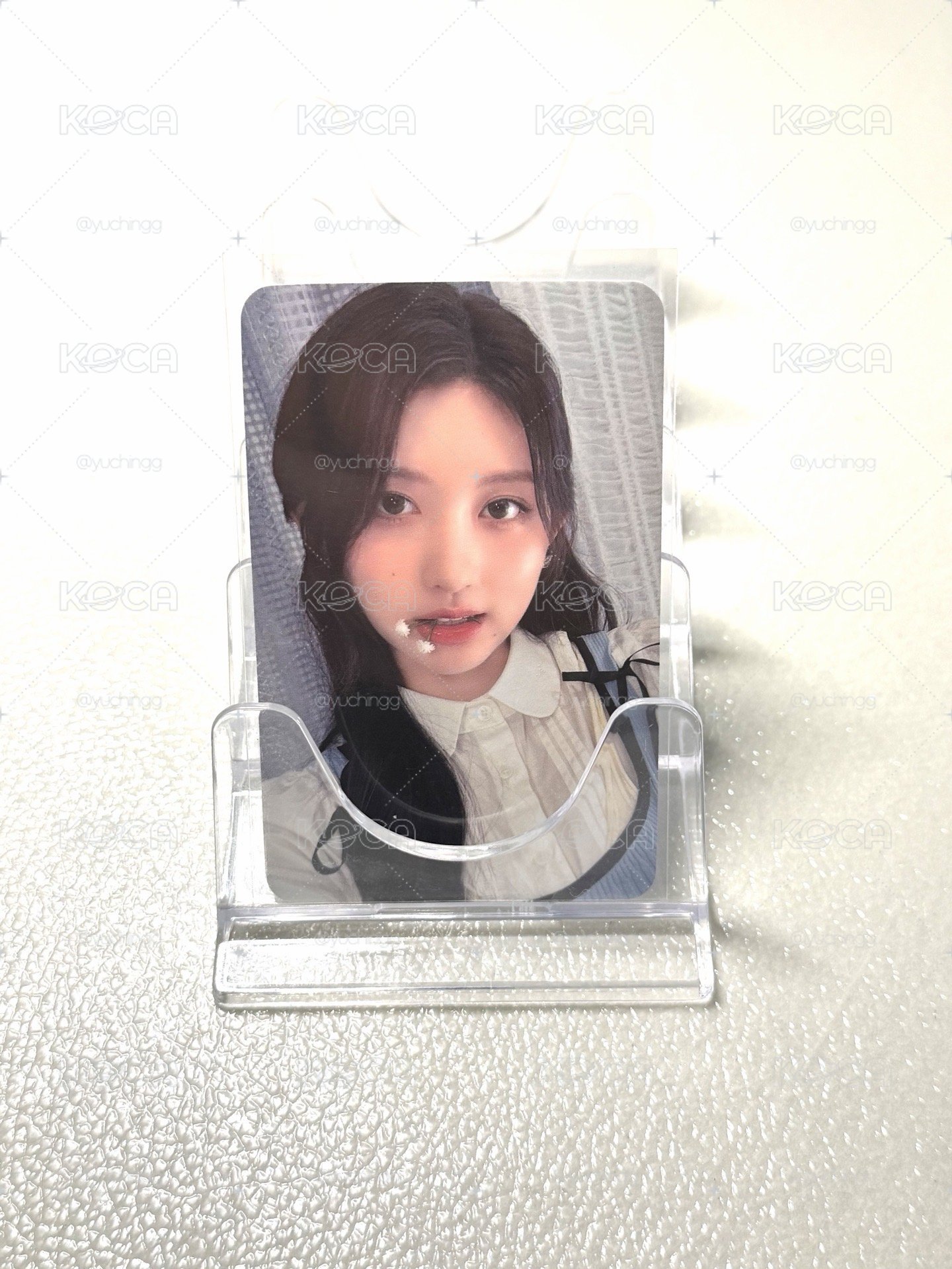 【現貨】秋 24 年曆 sw 特典卡 