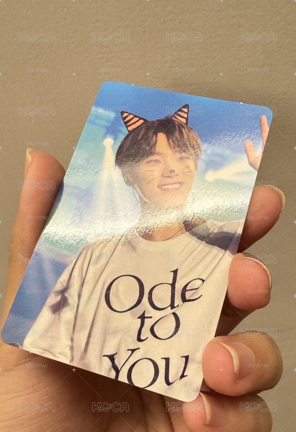 Dino Ode to you DVD卡 