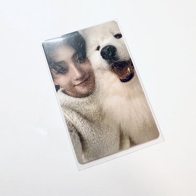 Last Bell 一直娛中背