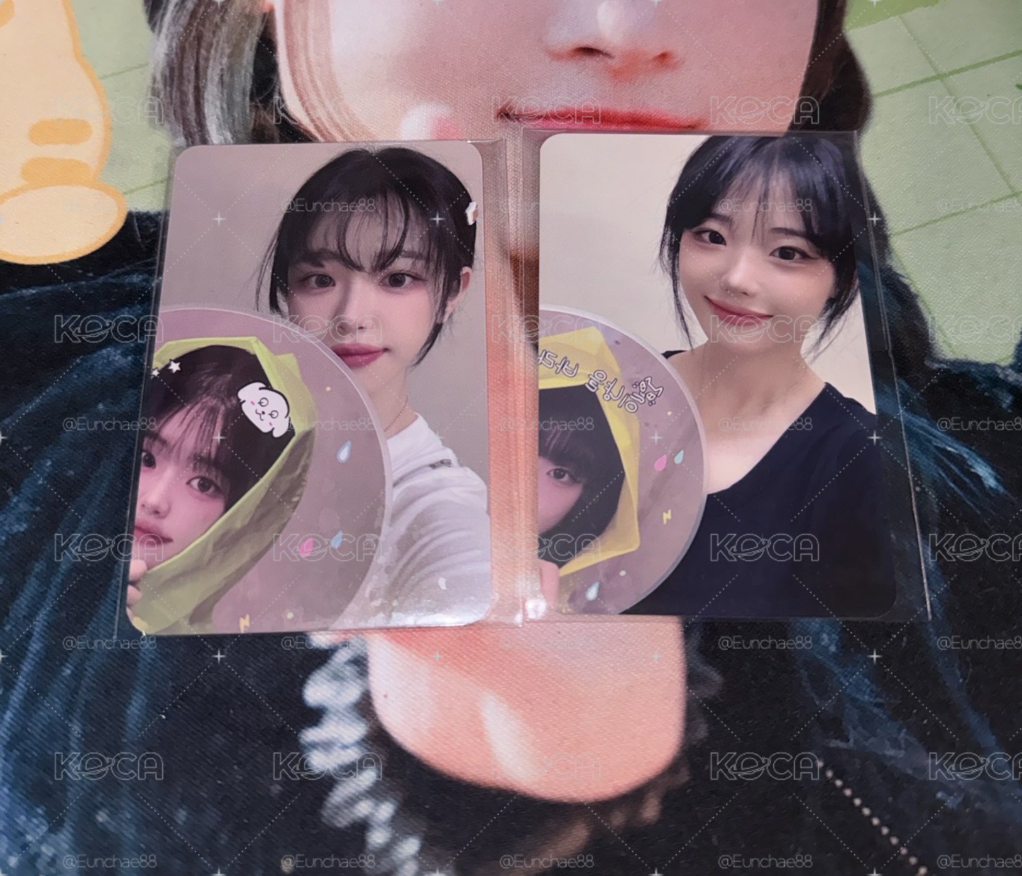 滿額扇子Hina、丹💫