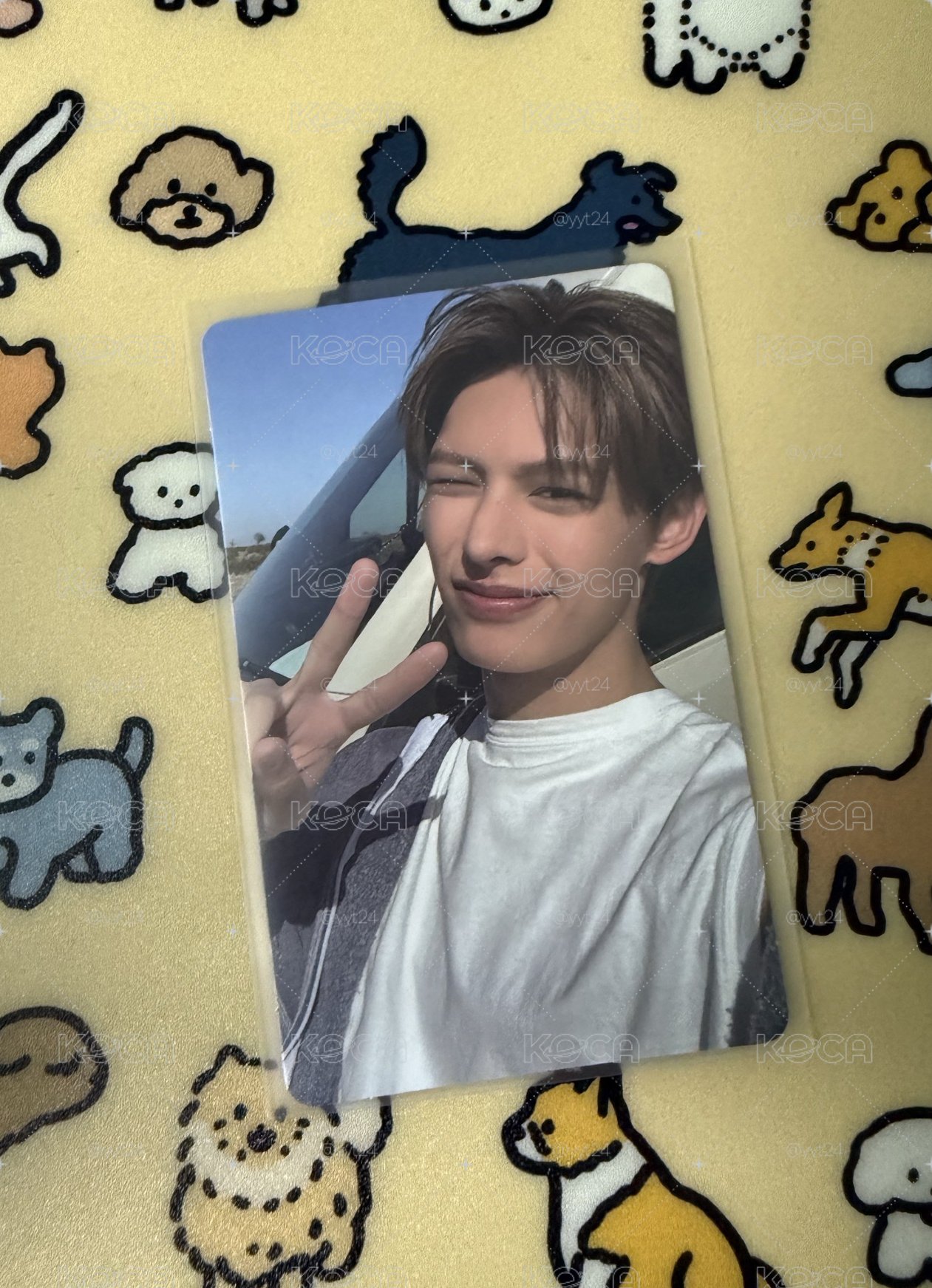 陽光小貓🐱凡
