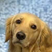 brian
