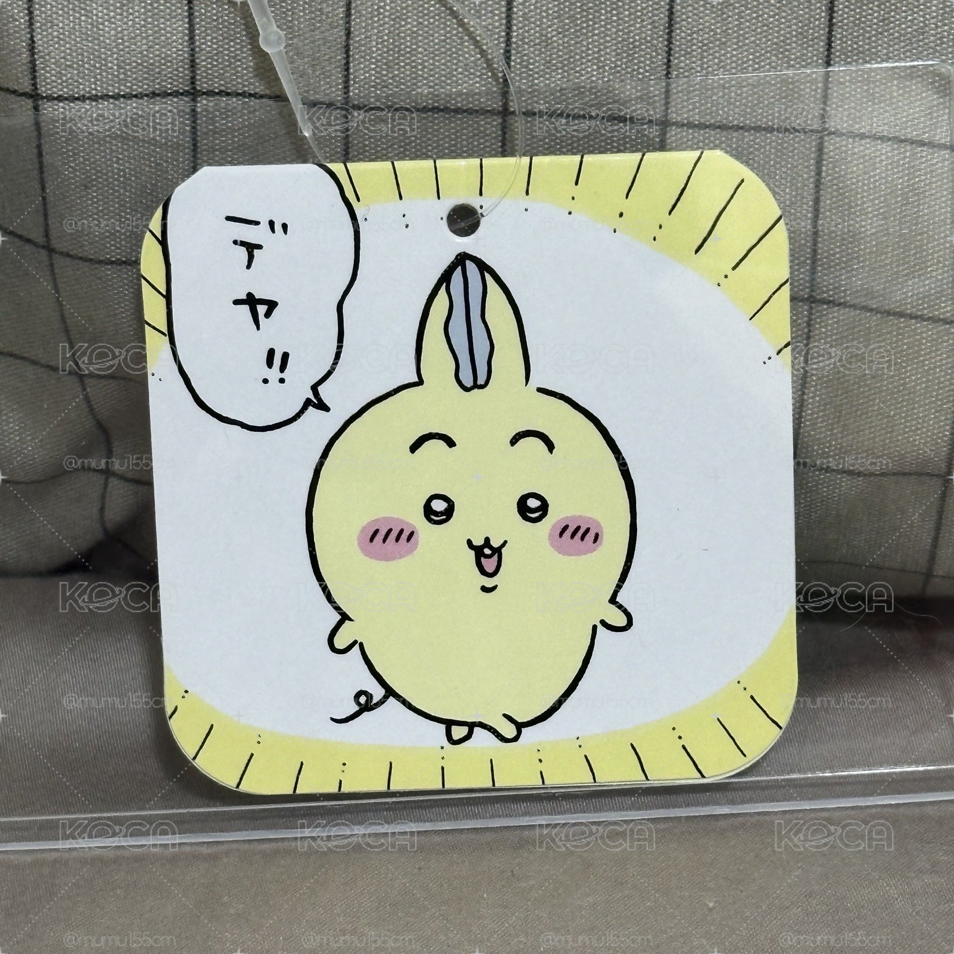 平行世界兔兔