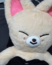 請支援收寅